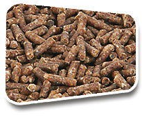 produtos aguia ração granulada banana - Pássaro Preto, Sabiá, Trinca-Ferro, Tico-Tico
