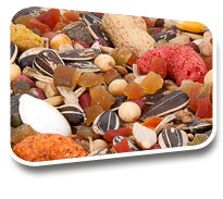 produtos aguia ração para papagaio com frutas